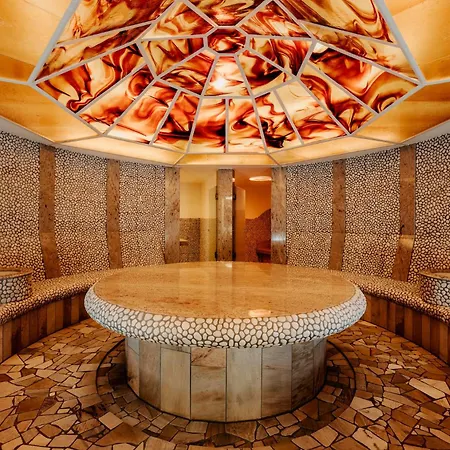 酒店 戴曼酒店 5*