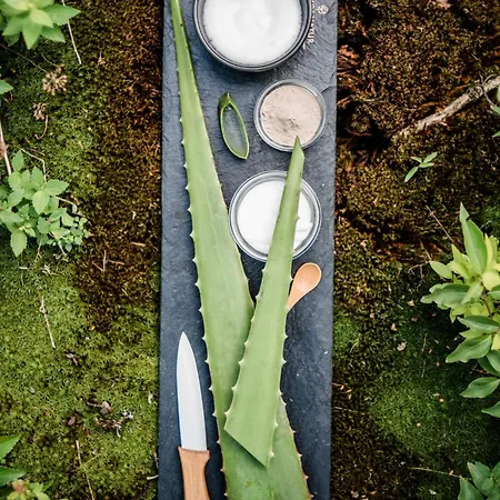 Szálloda Deimann Schmallenberg