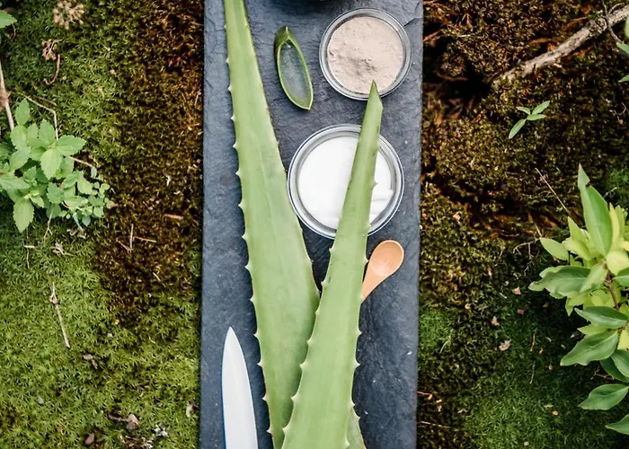 מלון Deimann שמאלנברג